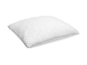 Tempur Traditional Comfort Cloud Pillow