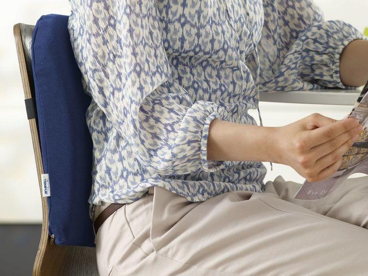 Tempur Lumbar Support - Image 4