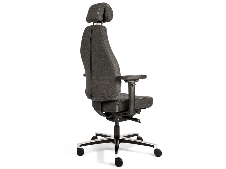 Therapod X HR - Image 2