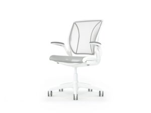 World Ergonomic Task Chair