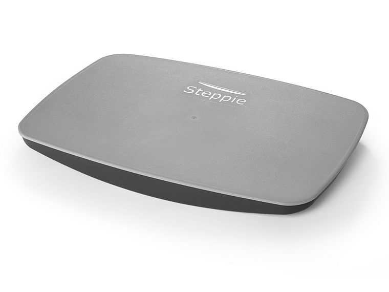 Steppie - Balance Board - Image 2
